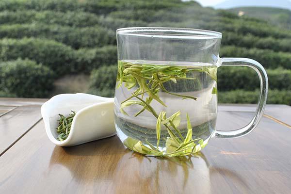 白茶是什么茶（白茶是什么茶类属绿茶吗）